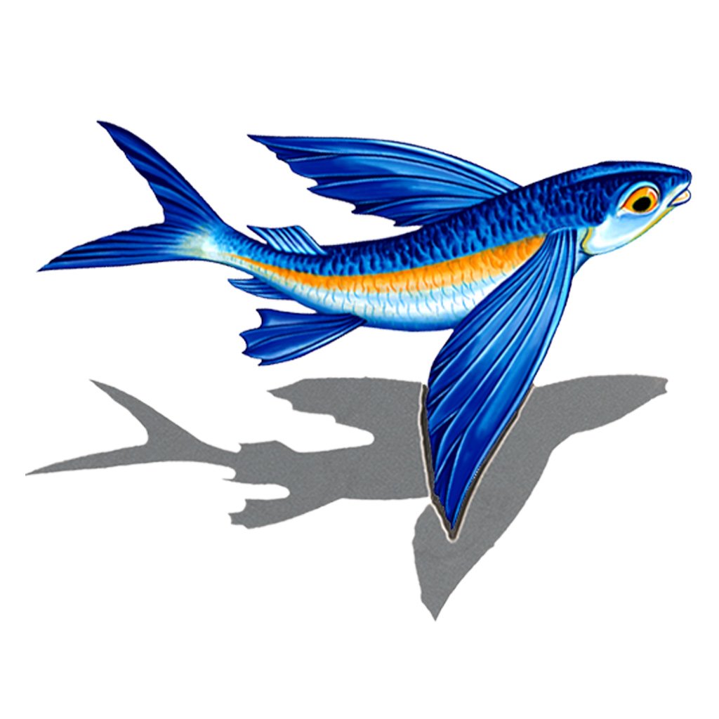 flying fish clip art