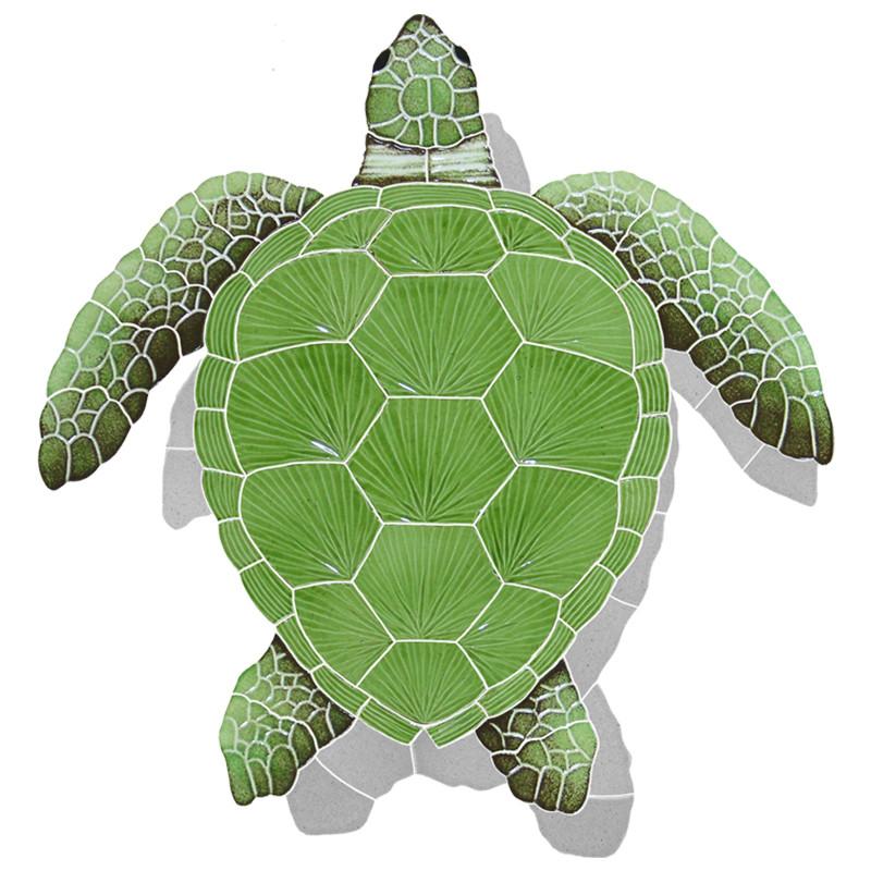 Loggerhead Turtle - Green Wshadow 