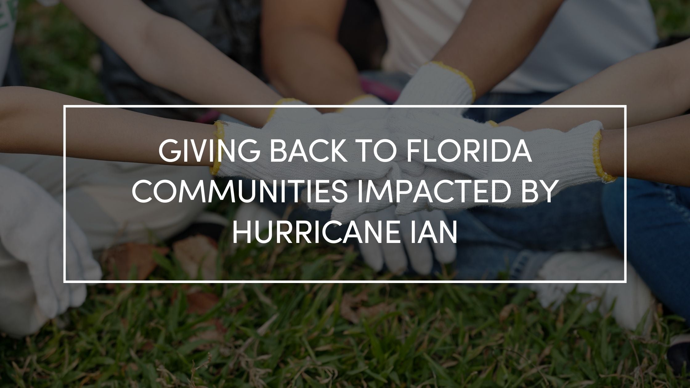 Giving Back To Florida Communities Impacted By Hurricane Ian – AquaBlu ...