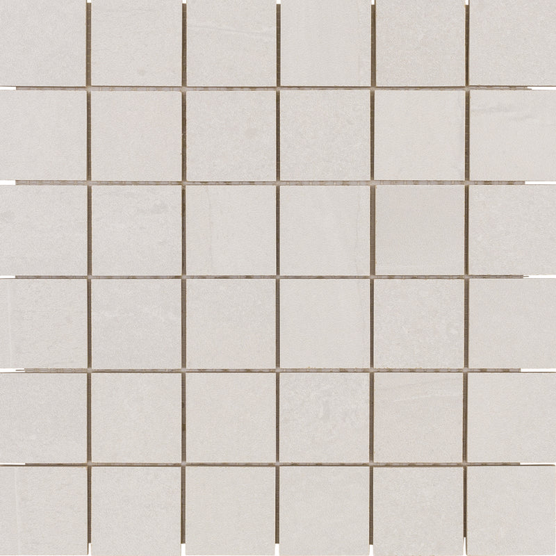 Adrock Frost, 2" x 2" Porcelain Tile | Floor & Wall Tile