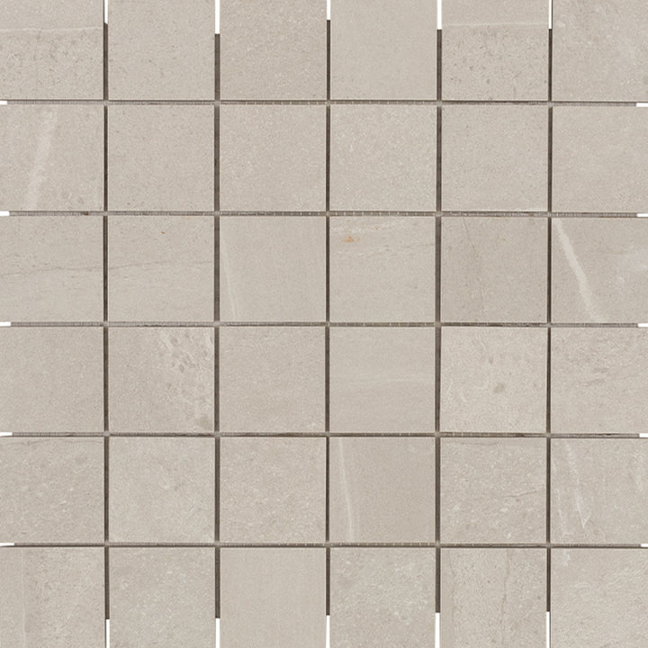 Adrock Latte, 2" x 2" Porcelain Tile | Floor & Wall Tile