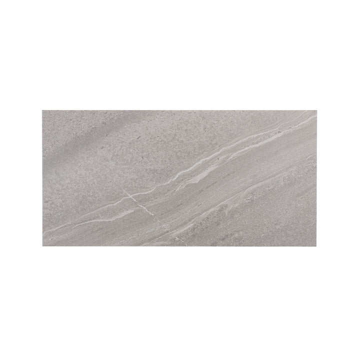 Adrock Nickel, 12" x 24" Porcelain Tile | Floor & Wall Tile