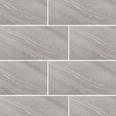 Adrock Nickel, 12" x 24" Porcelain Tile | Floor & Wall Tile