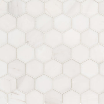 Bianco Dolomite 2" Hexagon Mosaic | Stone Tile by MSI