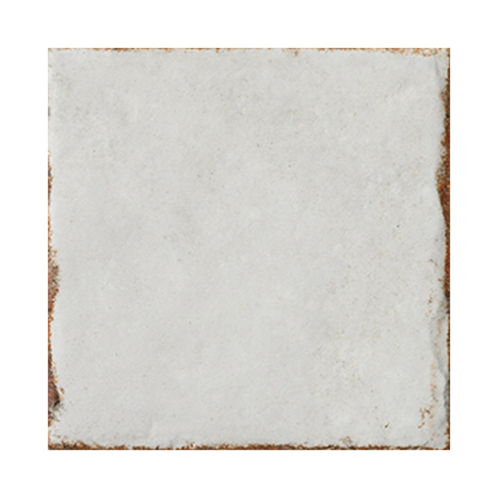 Bianco Antico, 8" x 8" Porcelain Tile | Floor & Wall Tile