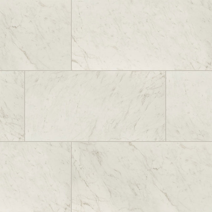 Carrara Bianco Polished, 12" x 24" | Porcelain Tile by MSI