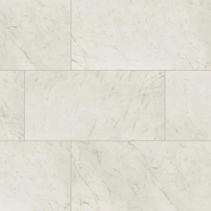 Carrara Bianco Matte, 24" x 48" | Porcelain Floor & Wall Tile by MSI