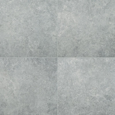 Legions Lunar Silver, 24" x 24" Porcelain Tile | Concrete-Look Tile