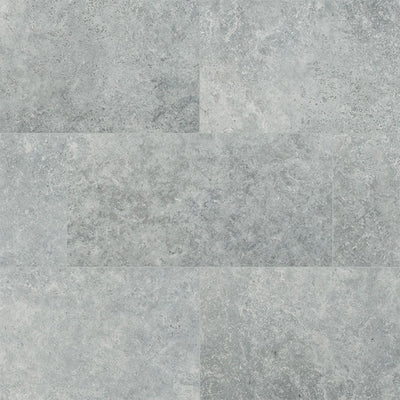 Legions Lunar Silver, 24" x 48" Porcelain Tile | Concrete-Look Tile