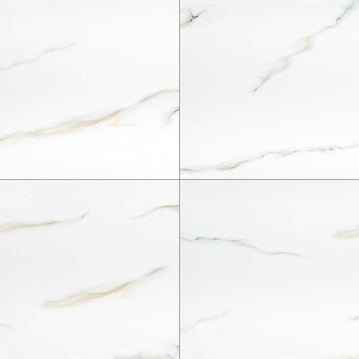 Aria Bianco, 24" x 24" Porcelain Tile | NARIBIA2424P | Tile by MSI