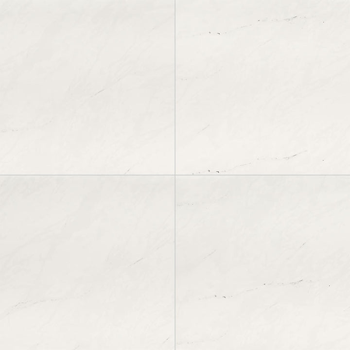 Aria Ice, 24" x 24" Porcelain Tile | NARICE2424P | Tile by MSI