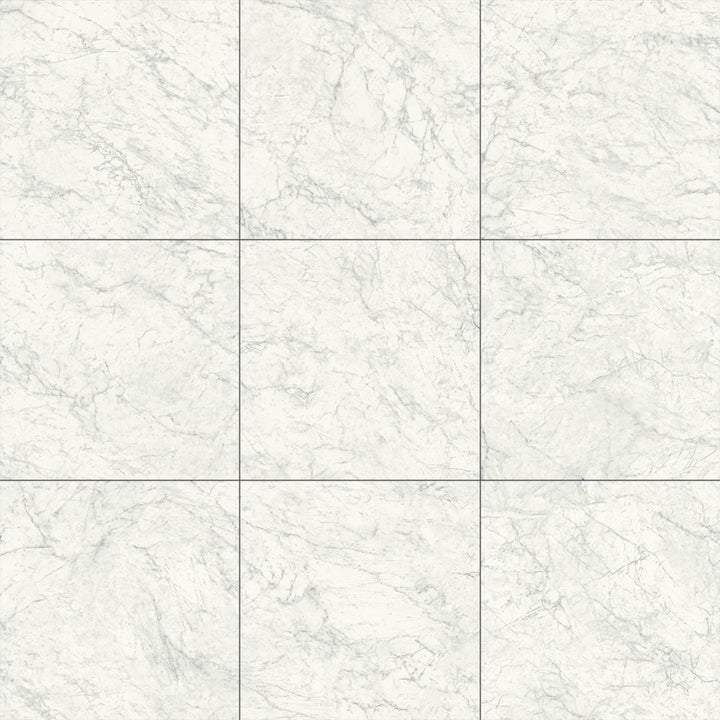 Naturale Carrara, 24" x 24" Porcelain Tile | Floor Tile