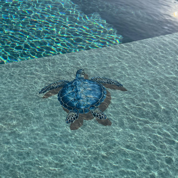 PORC-BL83-24/SH Blue Sea Turtle w/ shadow