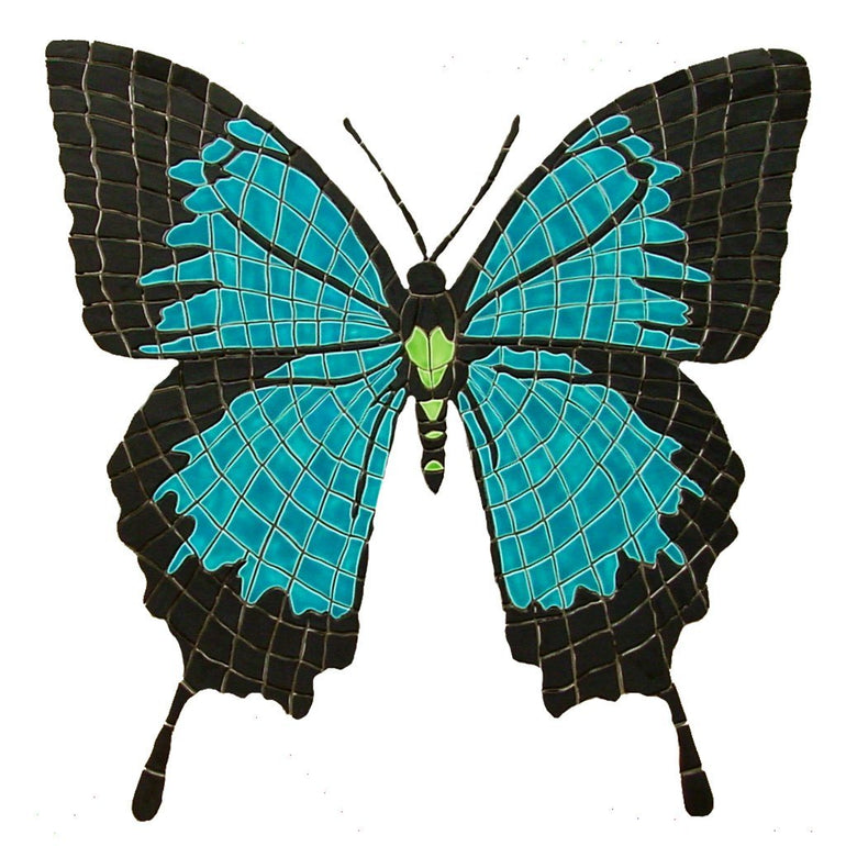ulysses butterfly drawing