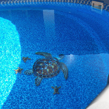 Baby Turtle A - Brown | PORC-ST20A-BR | Pool Mosaic