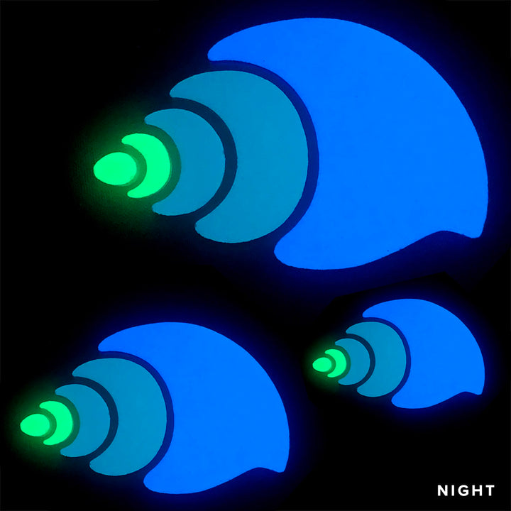 Nutmeg Shell Family | NM1-FAM | Glow in the Dark Pool Mosaics