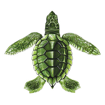 Baby Turtle C - Green | PORC-ST22C | Pool Mosaic